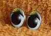 Глаза для игрушек - рисованные ГО-30-21.1 Глаза овальные 30мм